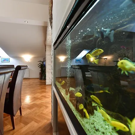 Apartment Luxury Sandra *